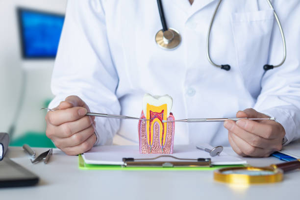 Best Broken or Chipped Tooth Repair in Clinton, MD